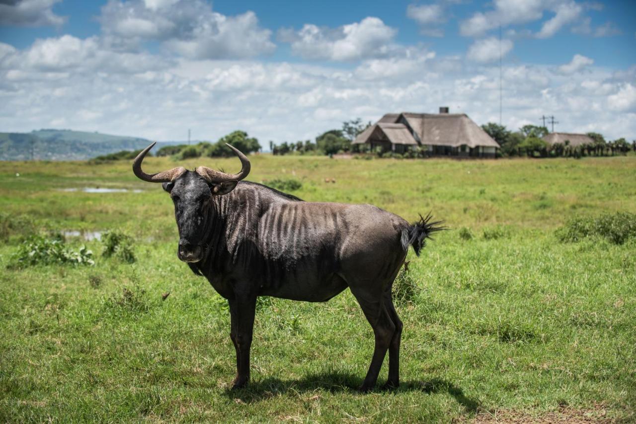 Tala Collection Game Reserve Silverton エクステリア 写真