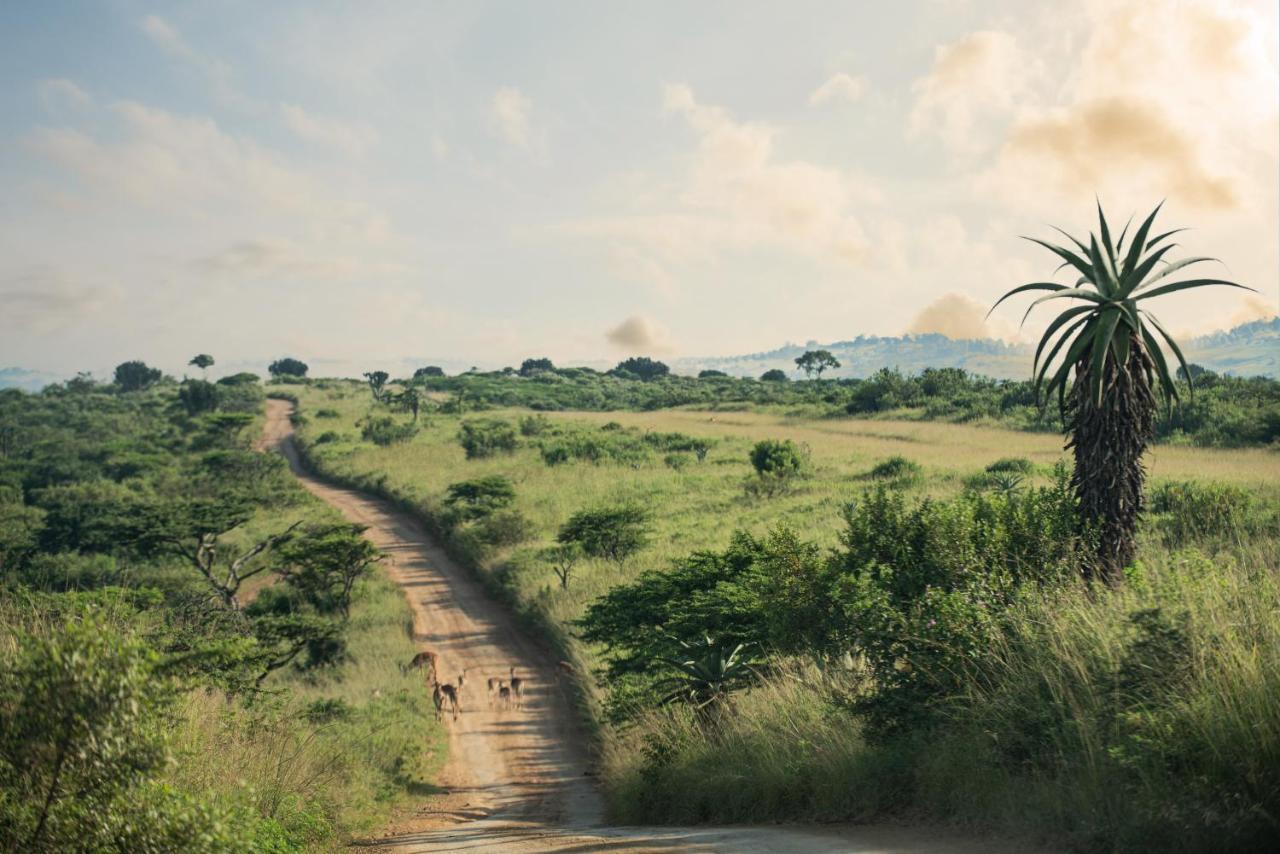 Tala Collection Game Reserve Silverton エクステリア 写真