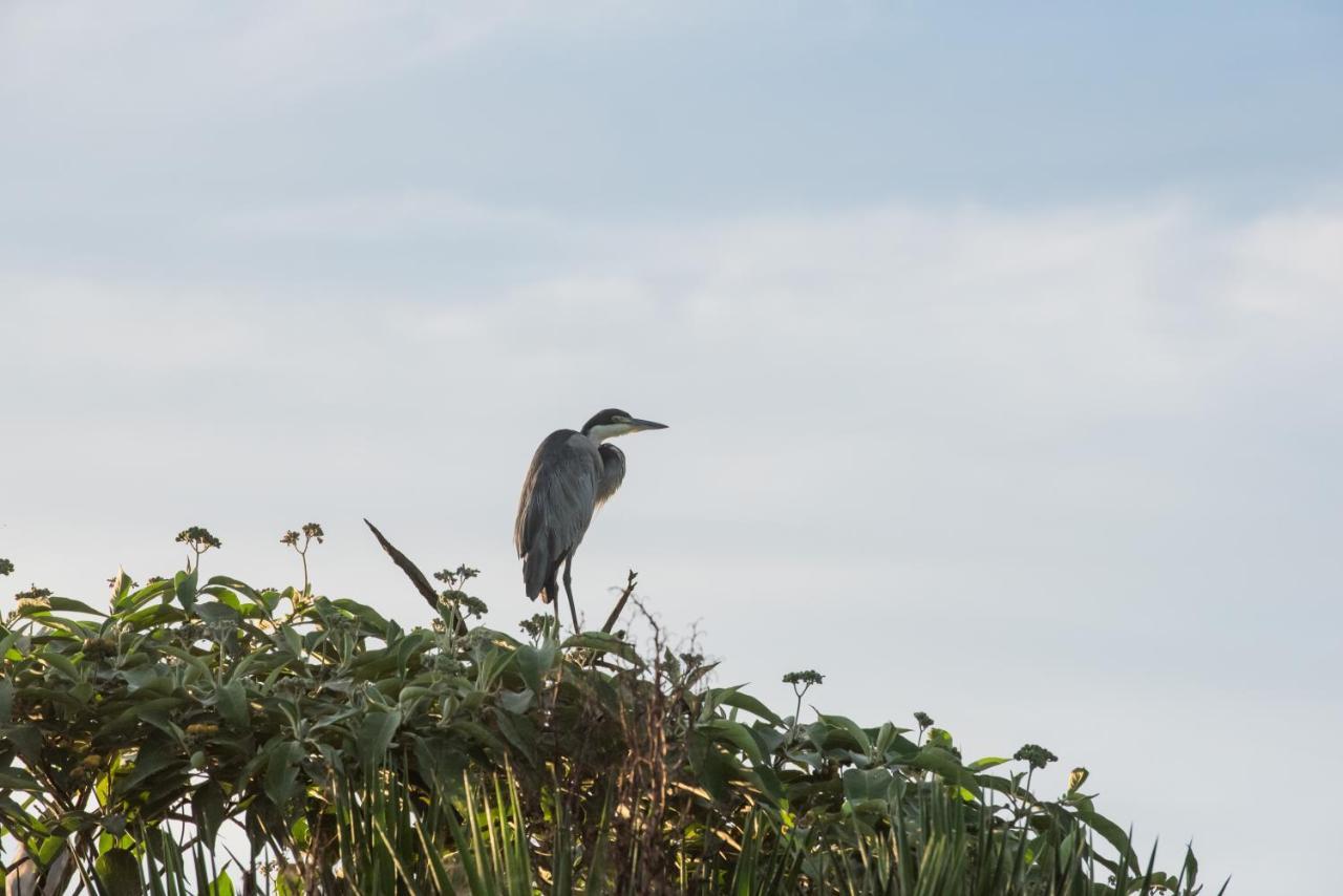 Tala Collection Game Reserve Silverton エクステリア 写真