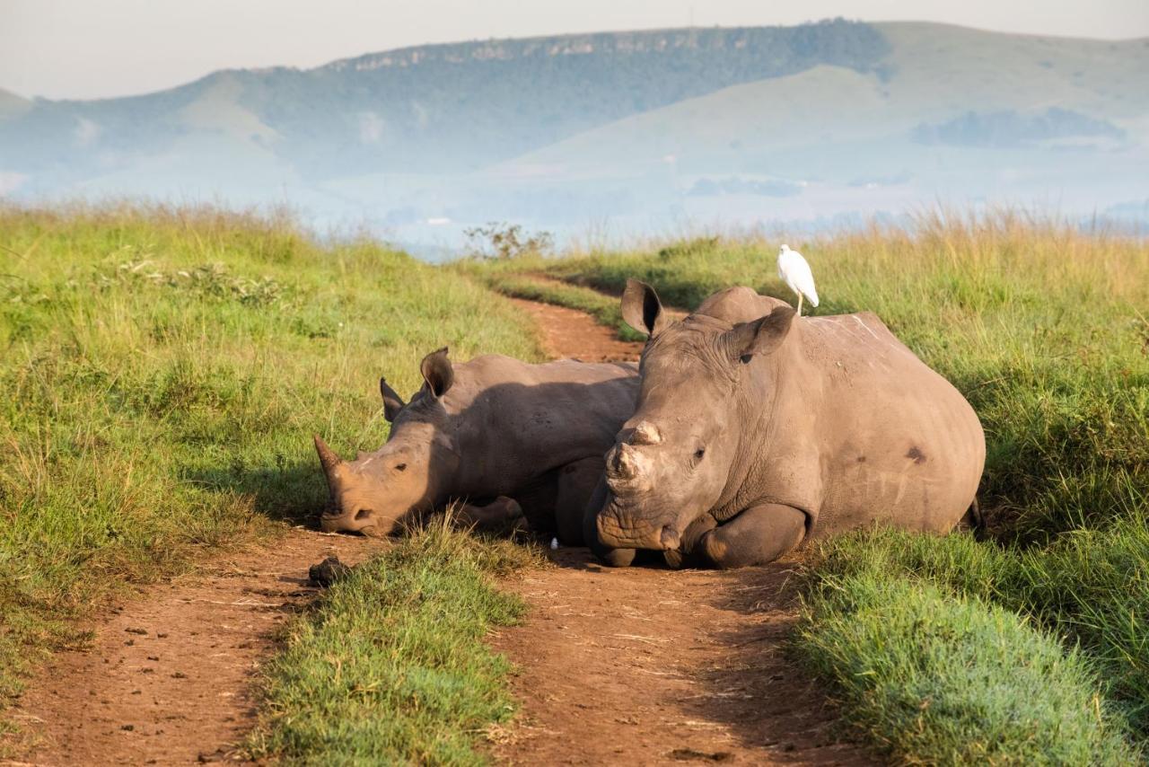 Tala Collection Game Reserve Silverton エクステリア 写真
